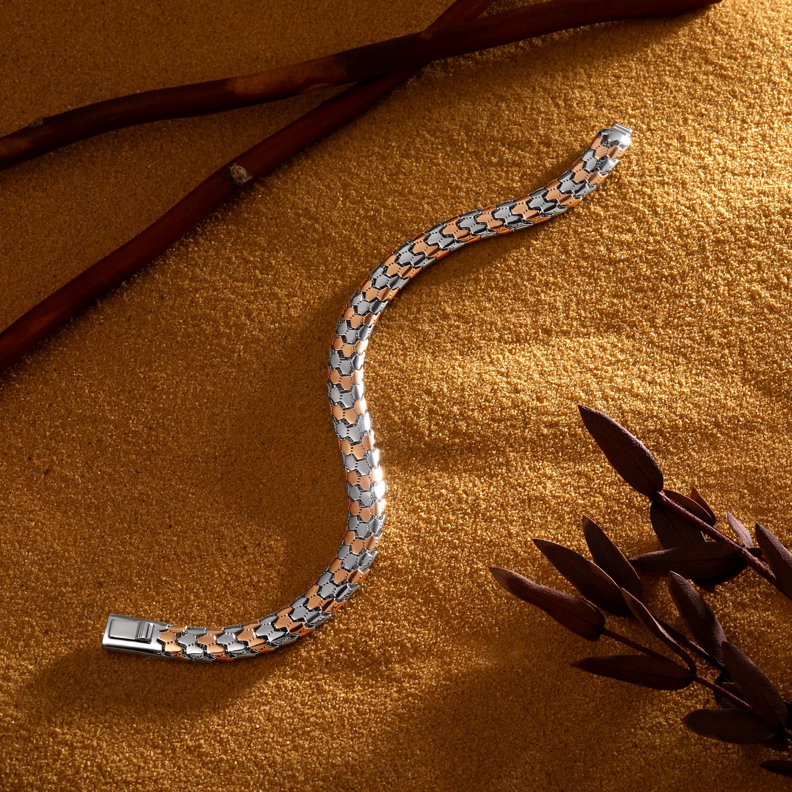 Bhurakhiya Silver Premium Collection